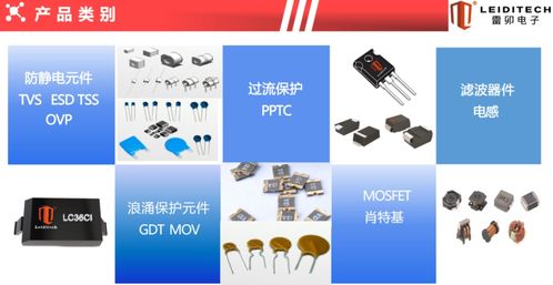 上海雷卯携硬核电磁兼容防护方案 亮相西安论坛 共话技术赋能未来