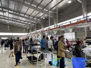 雅迪成立电动车行业首家独资海外工厂 技术服务双轮驱动，中国制造走向世界